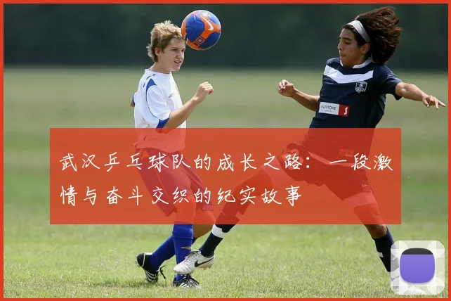 武汉乒乓球队的成长之路：一段激情与奋斗交织的纪实故事